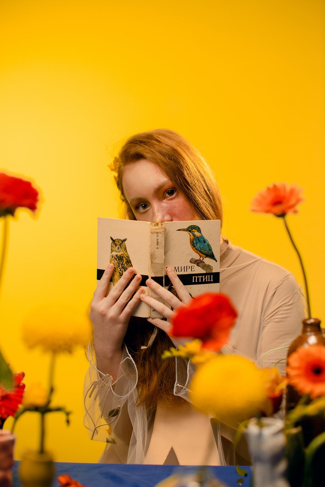 lady with book in front of her face with yellow background